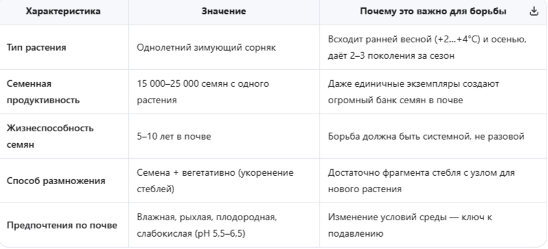 Биологический портрет сорняка мокрица