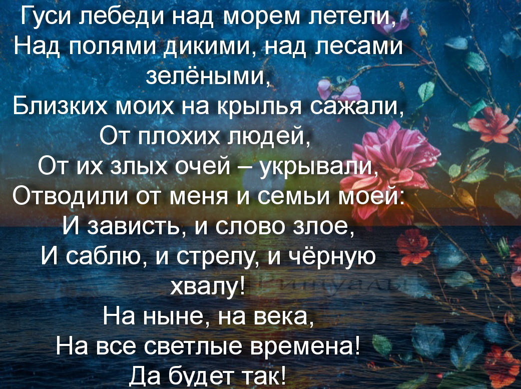 Картинка 2
