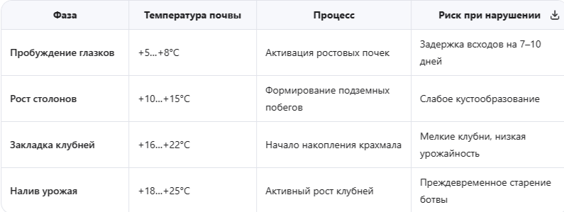 Что происходит с клубнем в почве