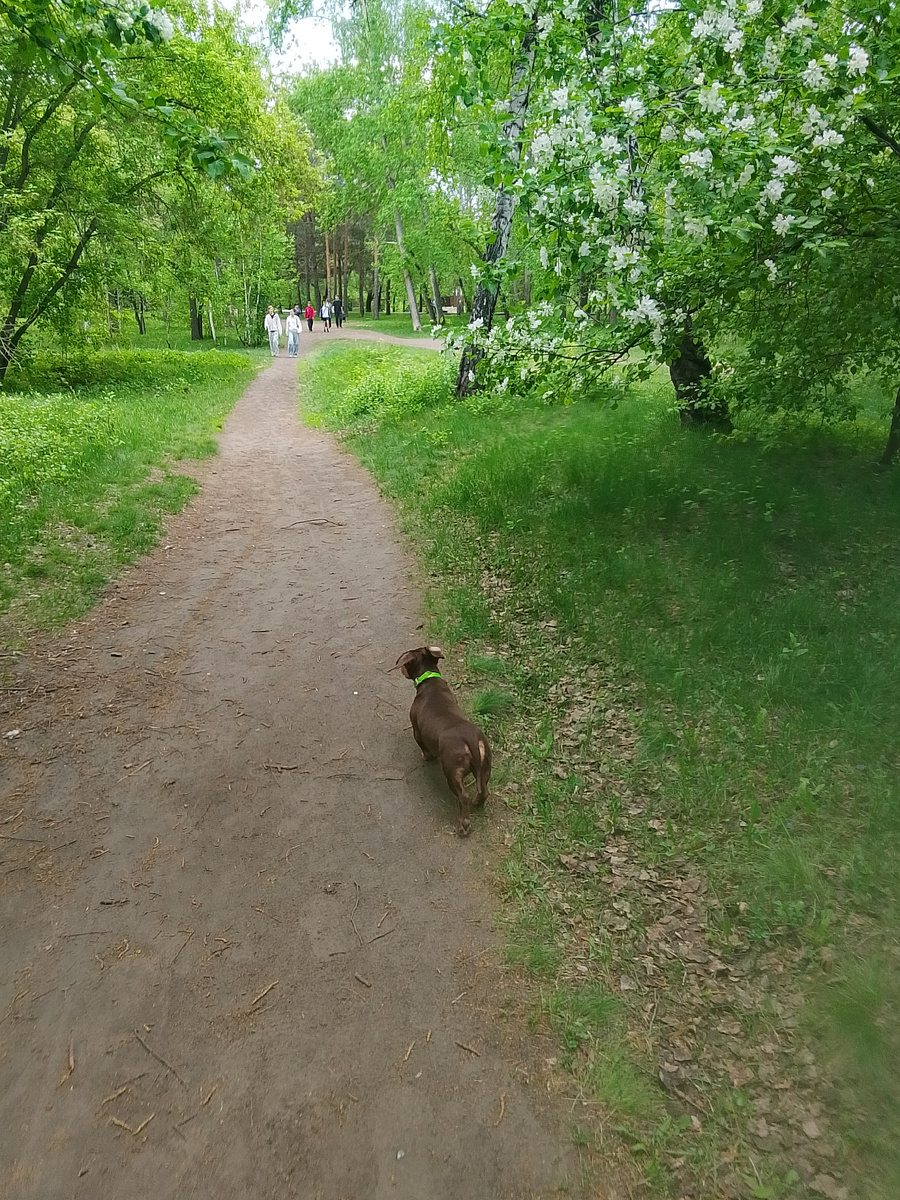 Мишель