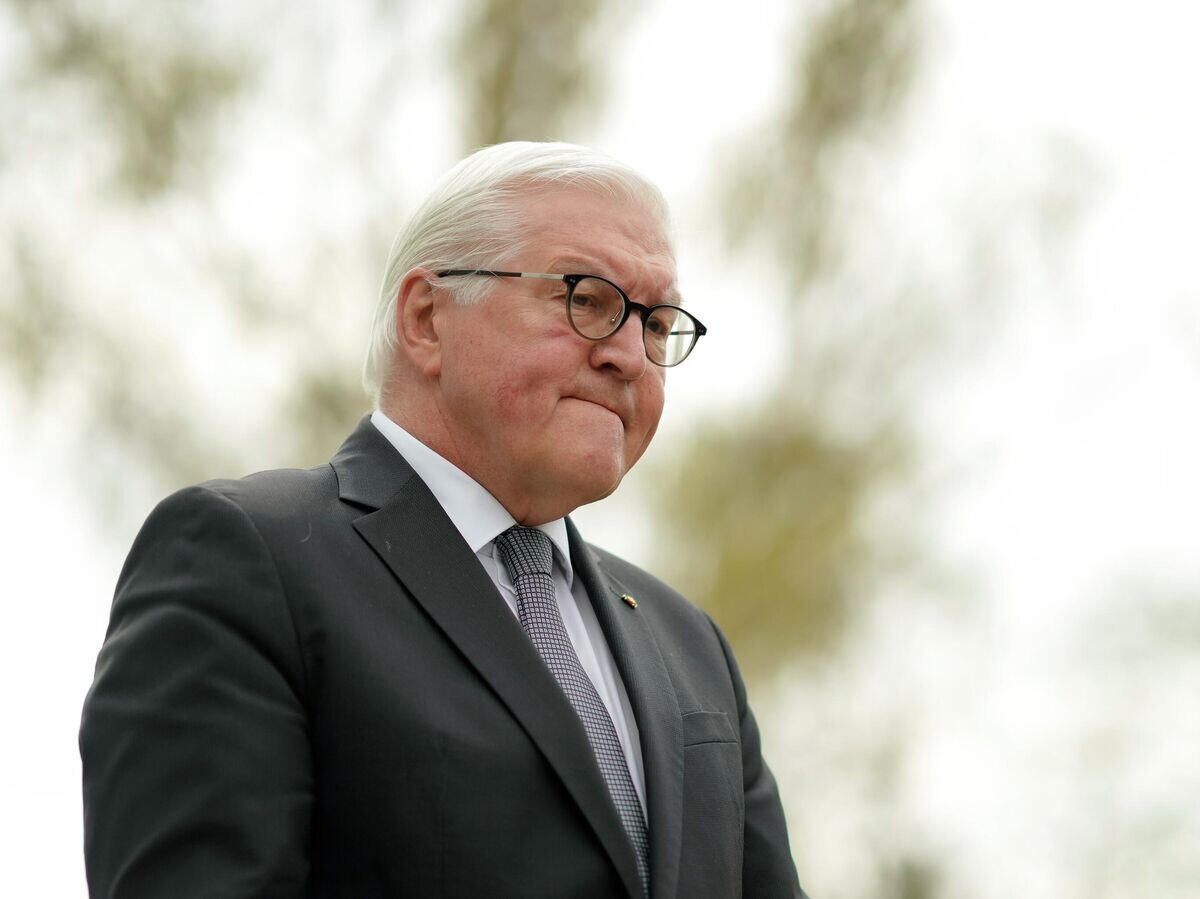    Президент Германии Франк-Вальтер Штайнмайер | © AP Photo / Markus Schreiber, Pool