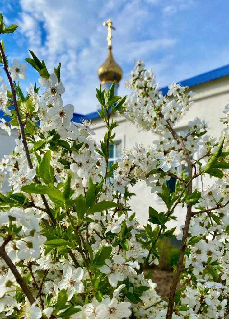   фото Людмила Сахарчук Веселовские вести