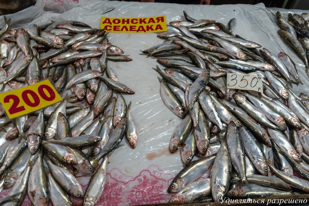 селёдка