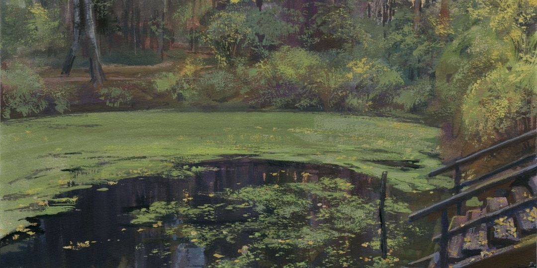20250926 Пруд у родника, Ясенево / Pond near the Yasenevo Spring