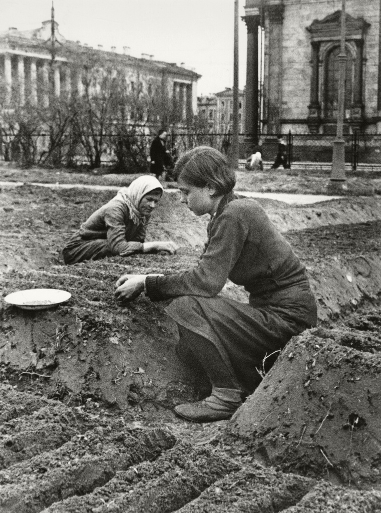 Огород у Исаакиевского собора. 1942 год. Автор: Валентин Капустин. Источник фото: МАММ / МДФ (http://mamm-mdf.ru/)