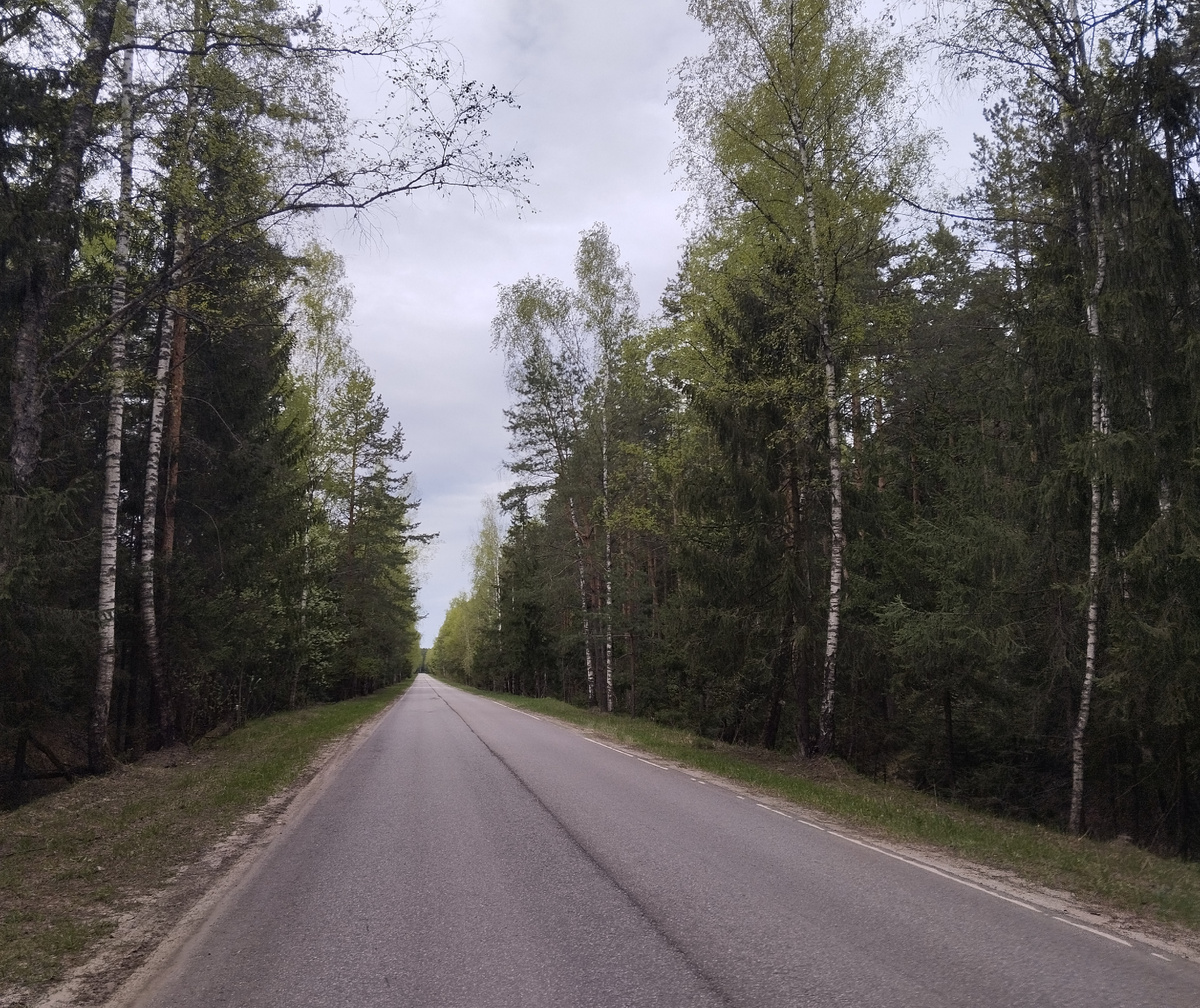 Май в Подмосковье. Дорога в "туда". ЗДЕСЬ и далее фото автора и(или) из личного архива автора, если не указано иначе.