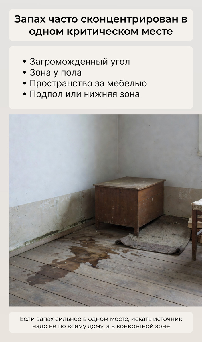 Источник запаха часто сконцентрирован в одном месте