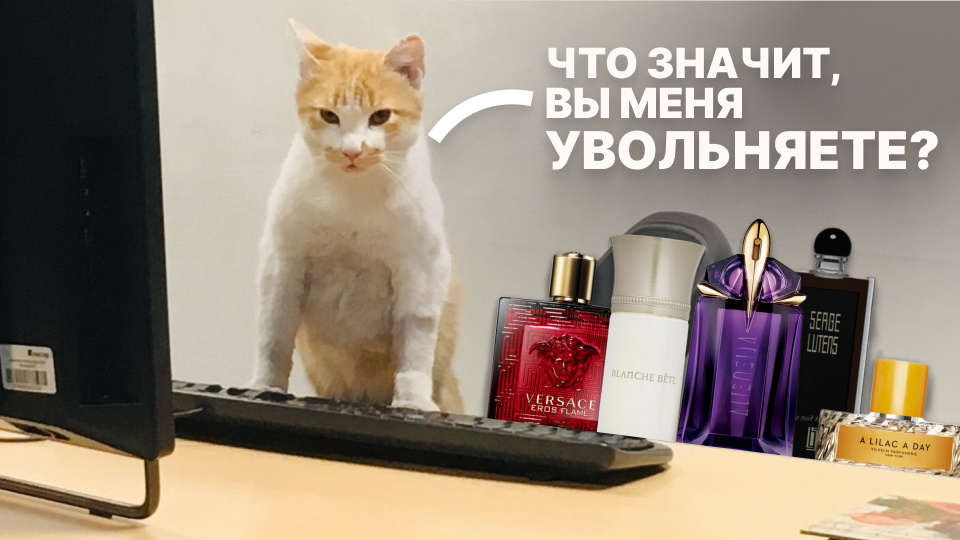 5 ароматов, за которые уволят с работы в офисе