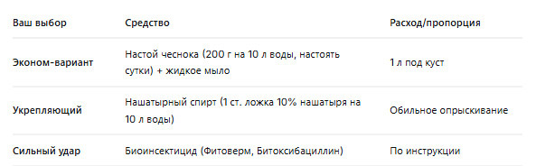 Чем обрабатываем клубнику