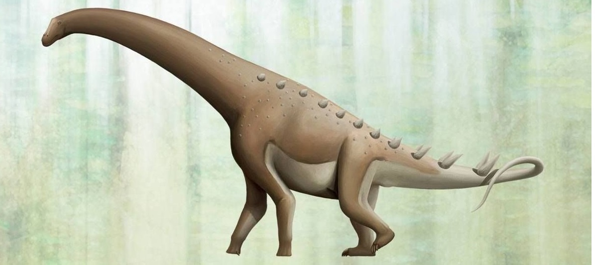 Diamantinasaurus matildae (с Pinterest.com)