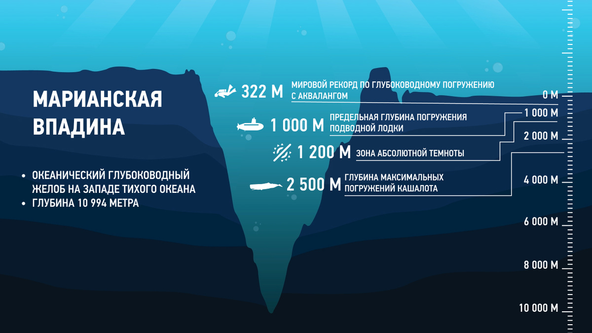 https://moya-planeta.ru/upload/images/xl/91/aa/91aa7c4bc5fae4e2f80bc9ba84966eab2aa2d021.jpg