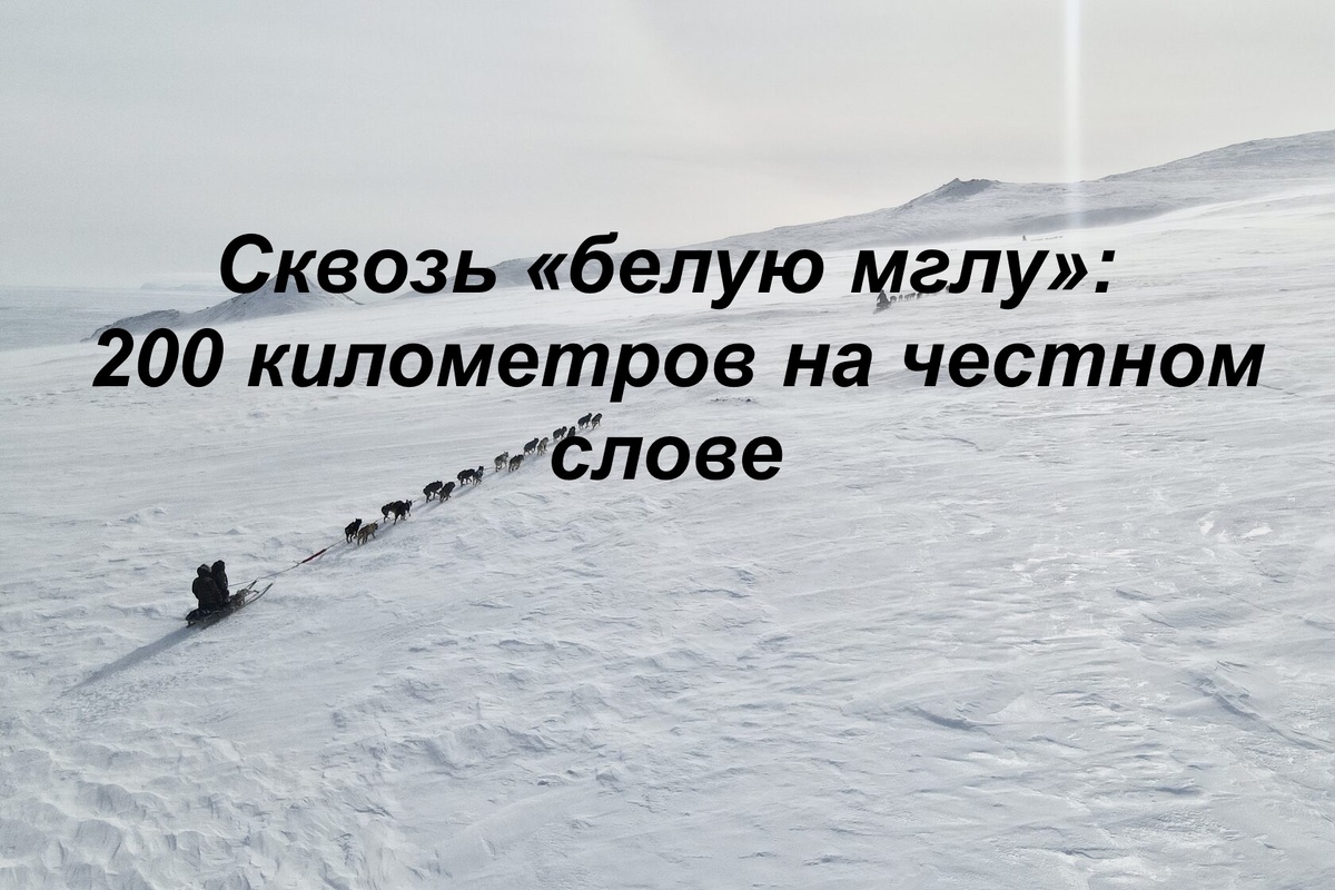 фото: https://www.mzunguexpeditions.com/chukotka_2026