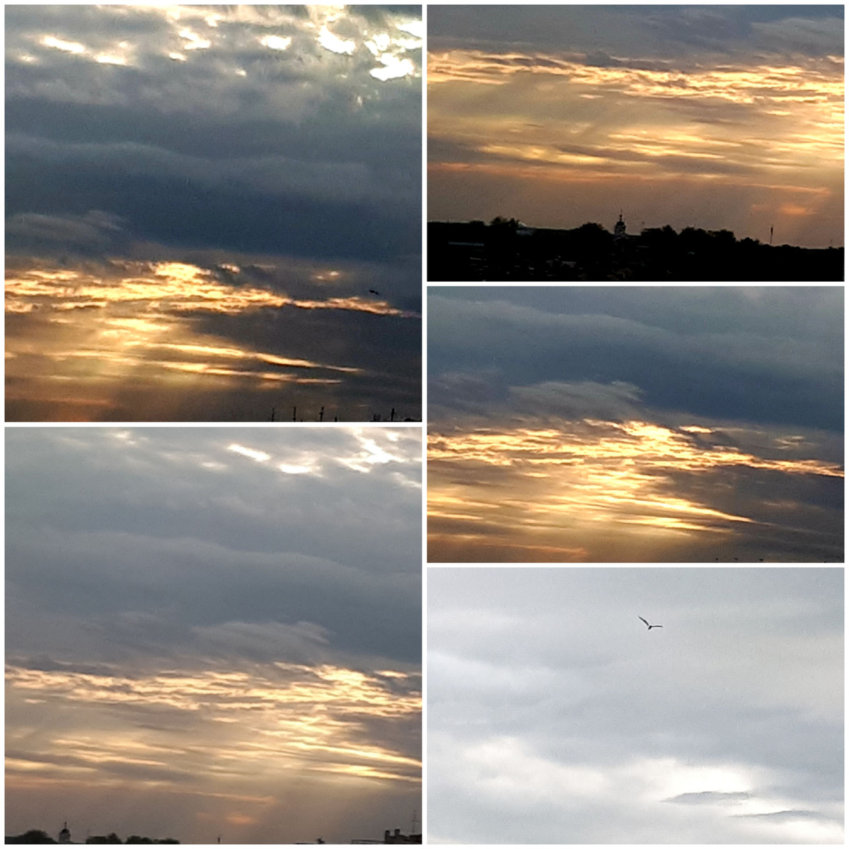 Коллаж автора 10.05.2026г.
