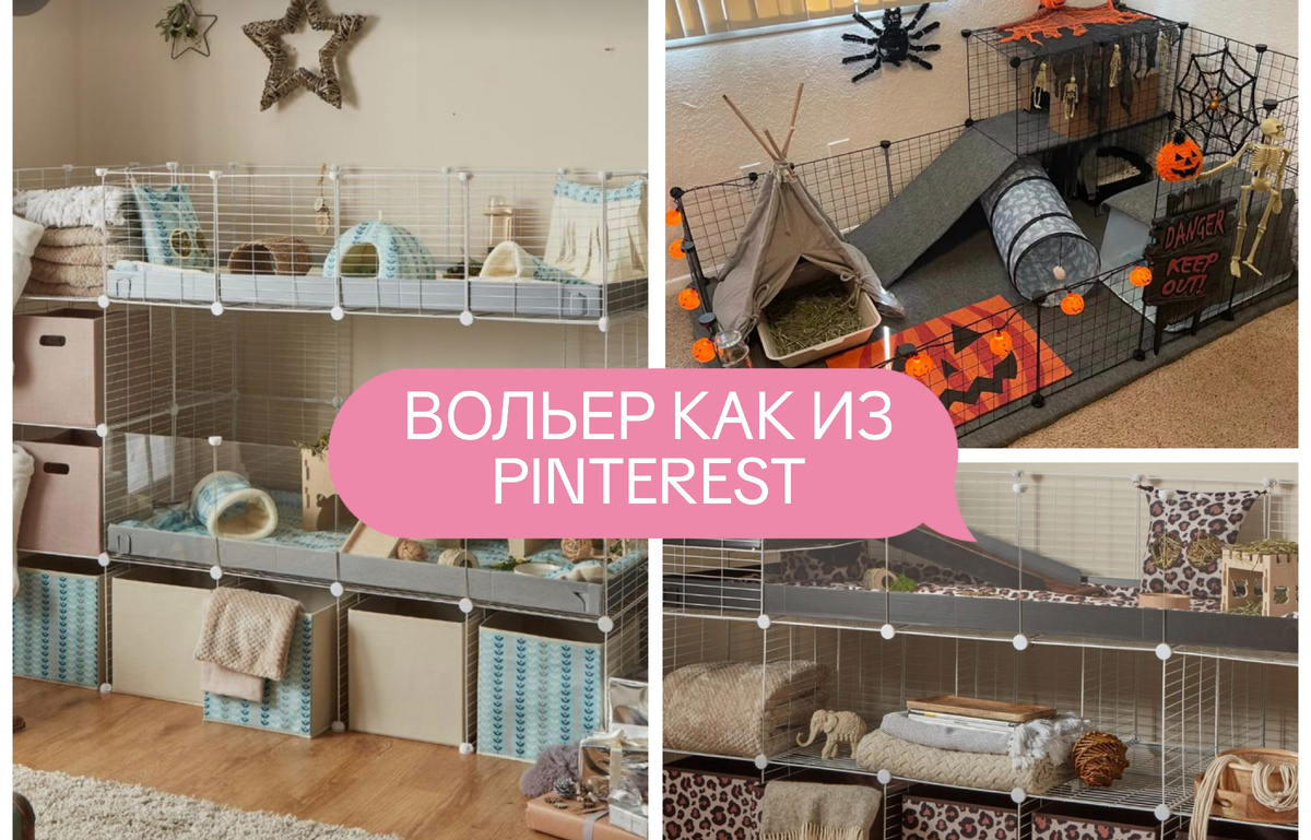 Фото взято из Pinterest
