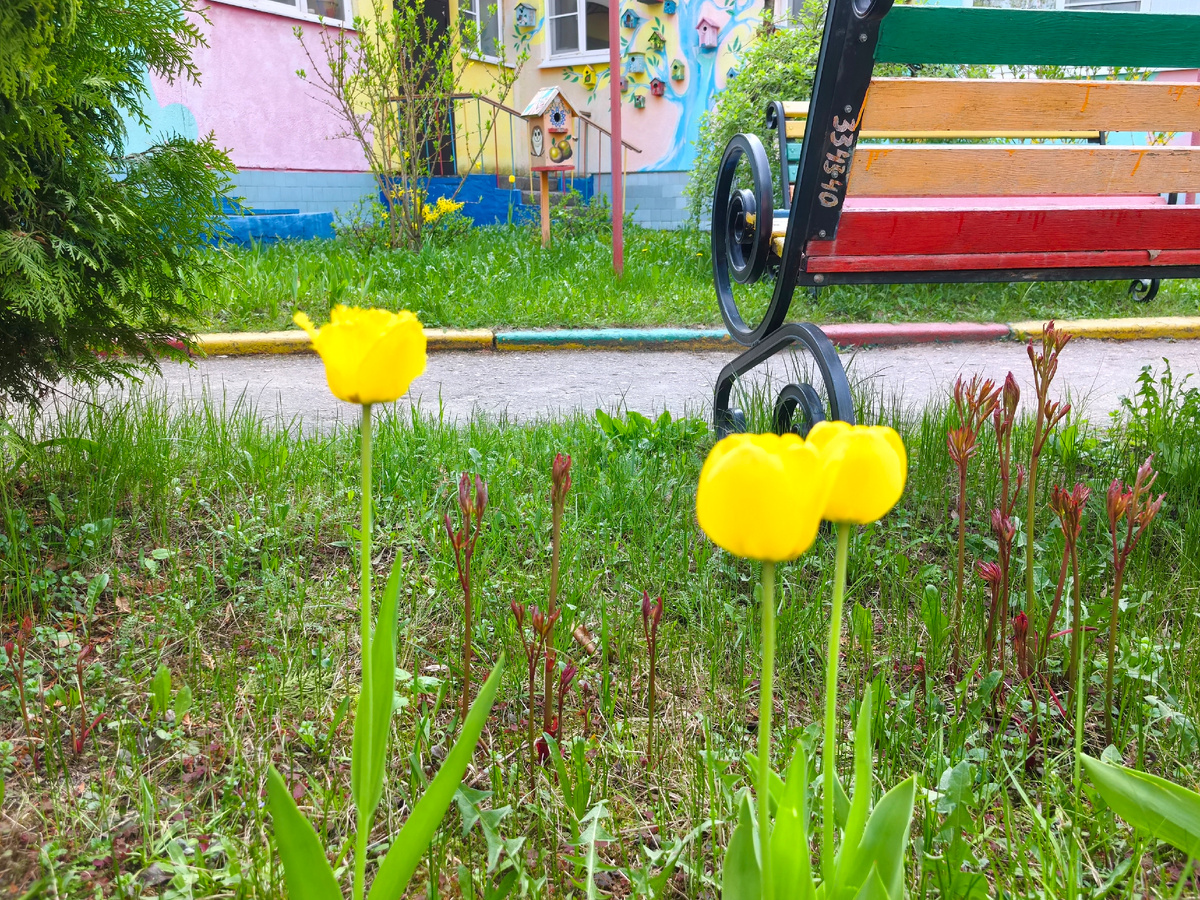 Весна в городе