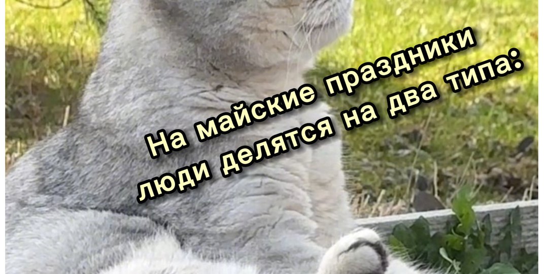 Так и есть😅