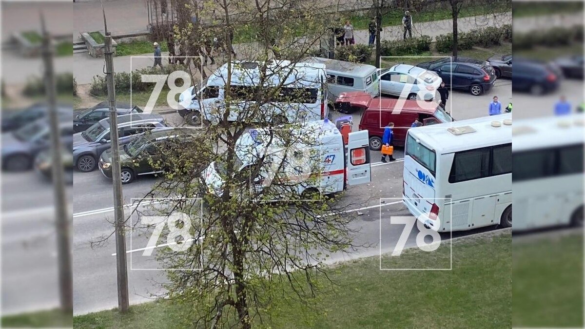    Фото: 78.ru