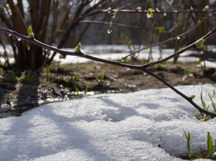     Фото сгенерировано ИИ
