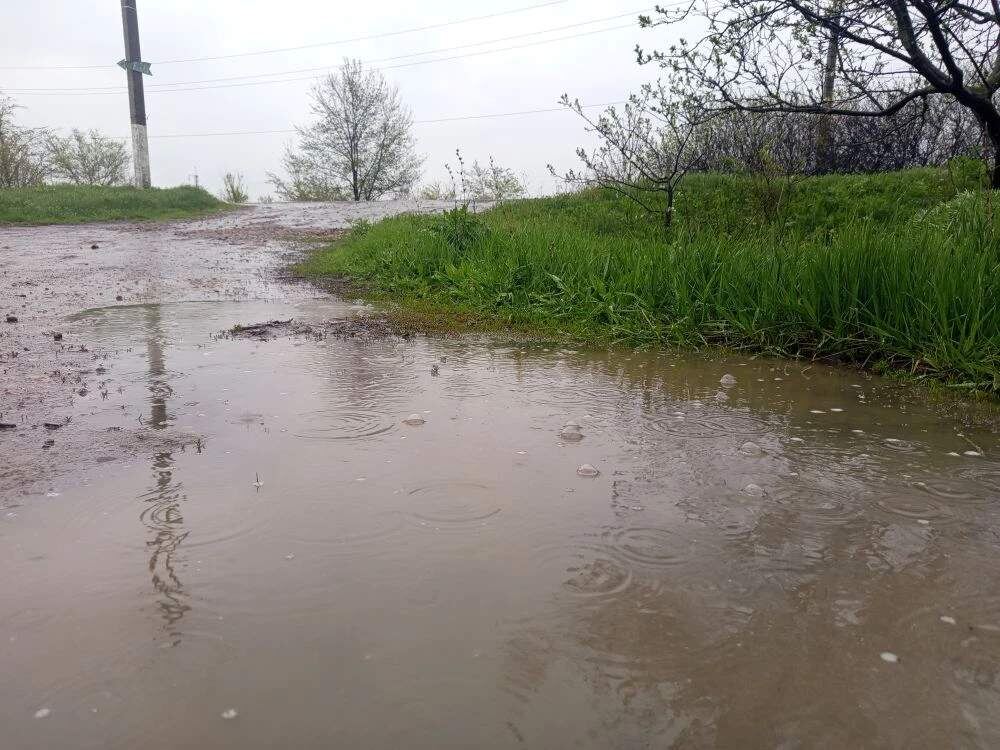    Фото: А. Токарева. Галина Ященко