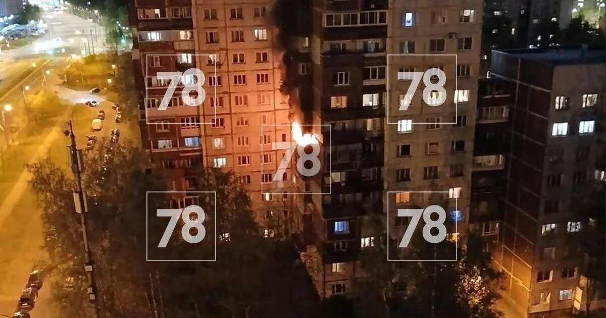    Фото: 78.ru