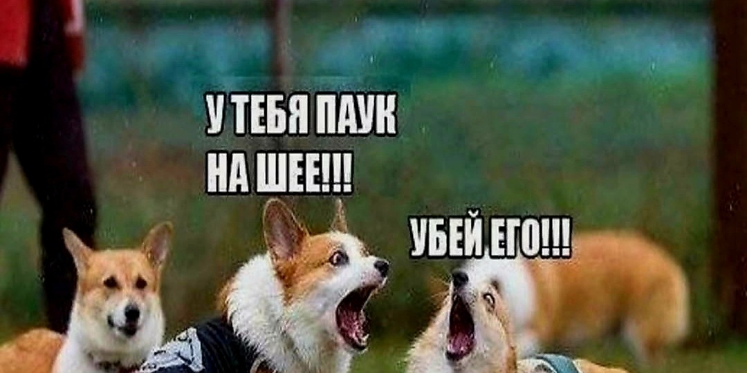 25 штрихов к портрету весёлого дня в мемах