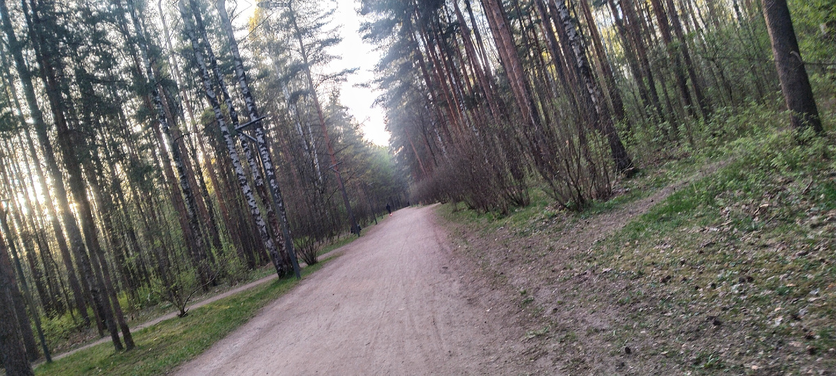 парк Сосновка, Санкт-Петербург 