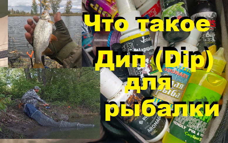 Что такое Дип (Dip) для рыбалки и зачем он нужен.