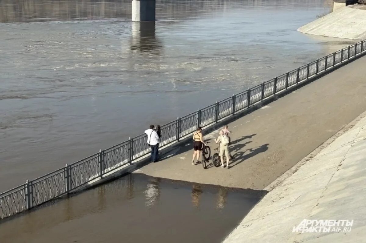    Из-за обильных осадков уровень воды в Томи и Усе резко повысился
