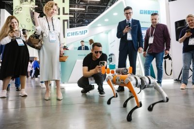    Пресс-служба конференции «ЦИПР»