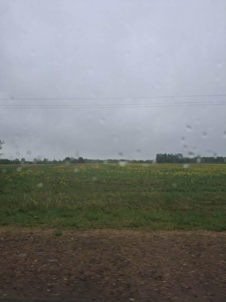 Фото автора канала 