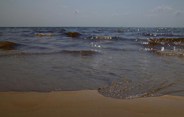 Обложка © Shutterstock / FOTODOM / narai chal