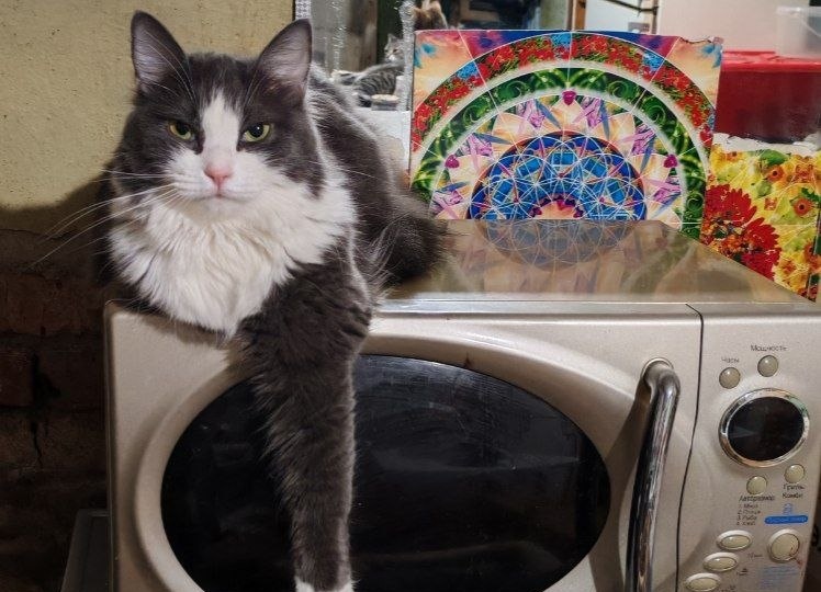 Ксюня