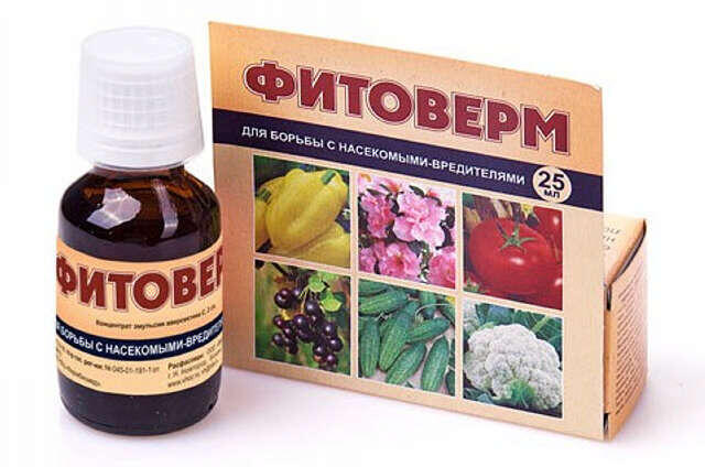 https://ir.ozone.ru/s3/multimedia-0/6350830656.jpg