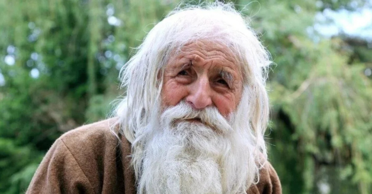 Яндекс картинки