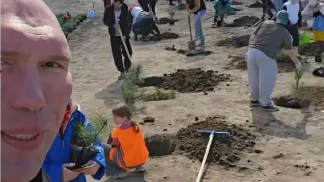Фото: https://vyborg.tv/obshchestvo/nikolaj-valuev-pomogaet-sazhat-v-vyborgskom-rajone-v-czvelodubovo-budet-kedrovyj-park/