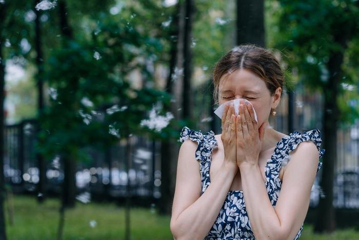 Обложка © Shutterstock / FOTODOM / Elena Shishkina
