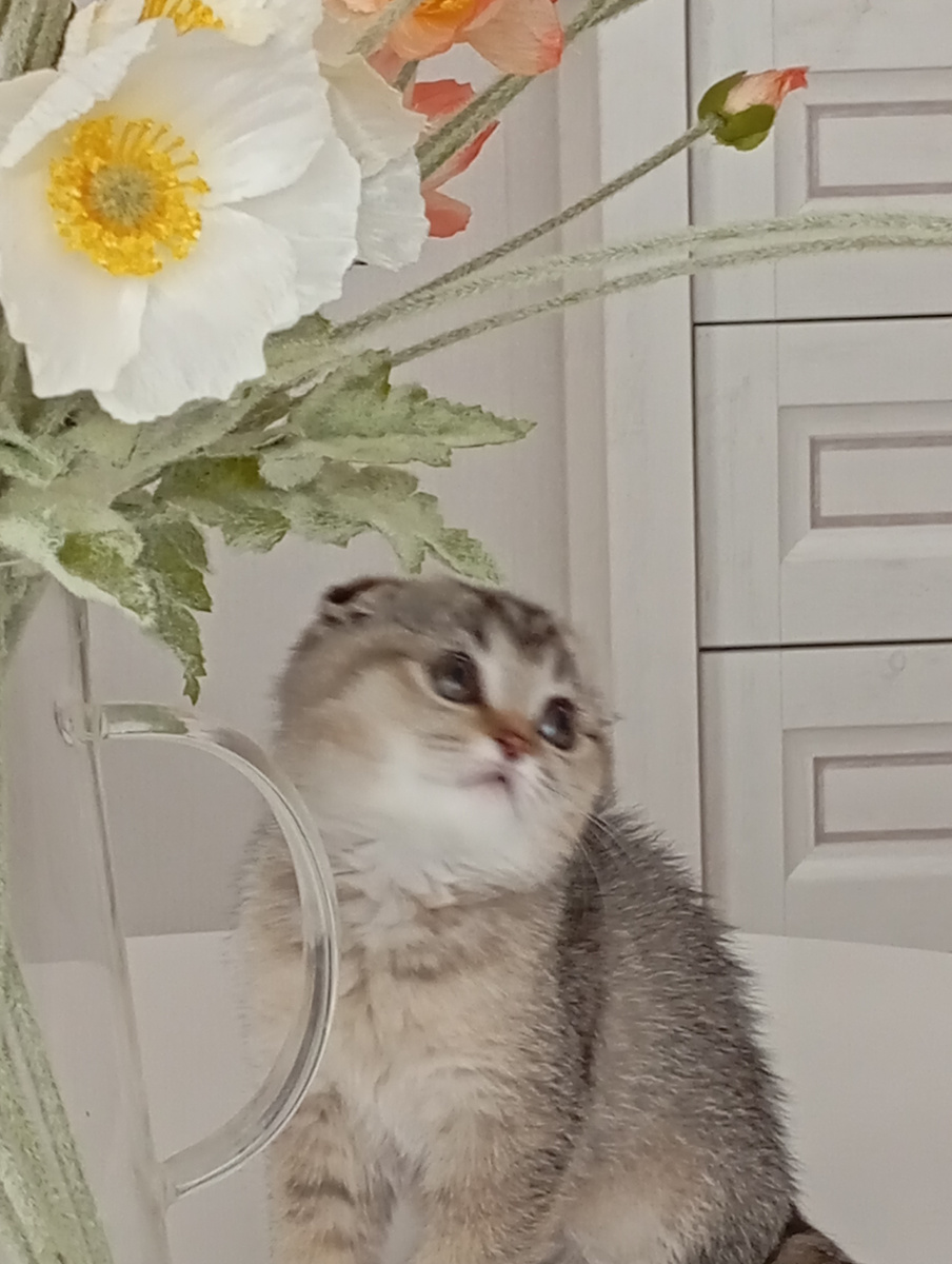 Наша малышка💕