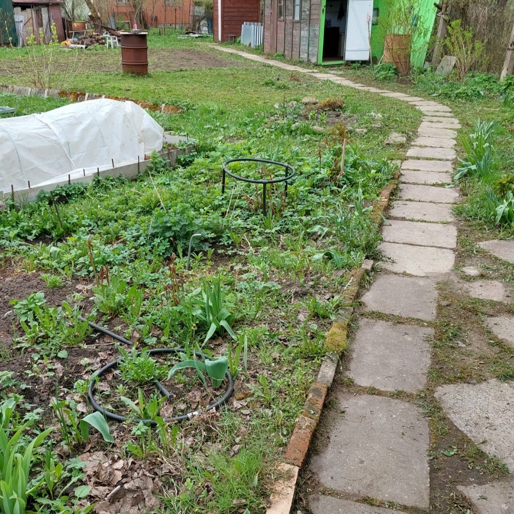Фото автора.