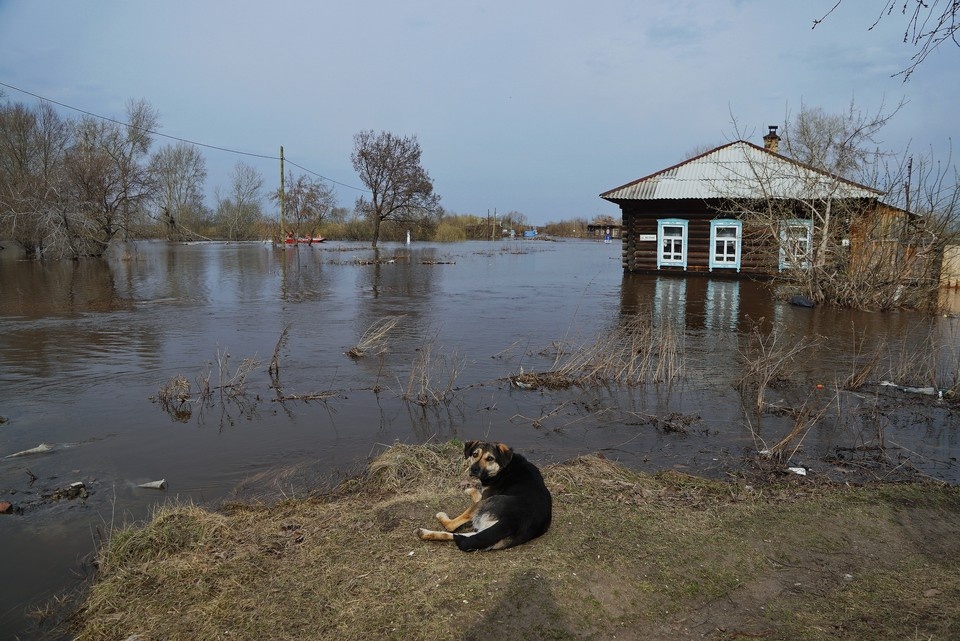    В Новосибирской области снова снизился уровень воды в реке Омь. Алексей БУЛАТОВ