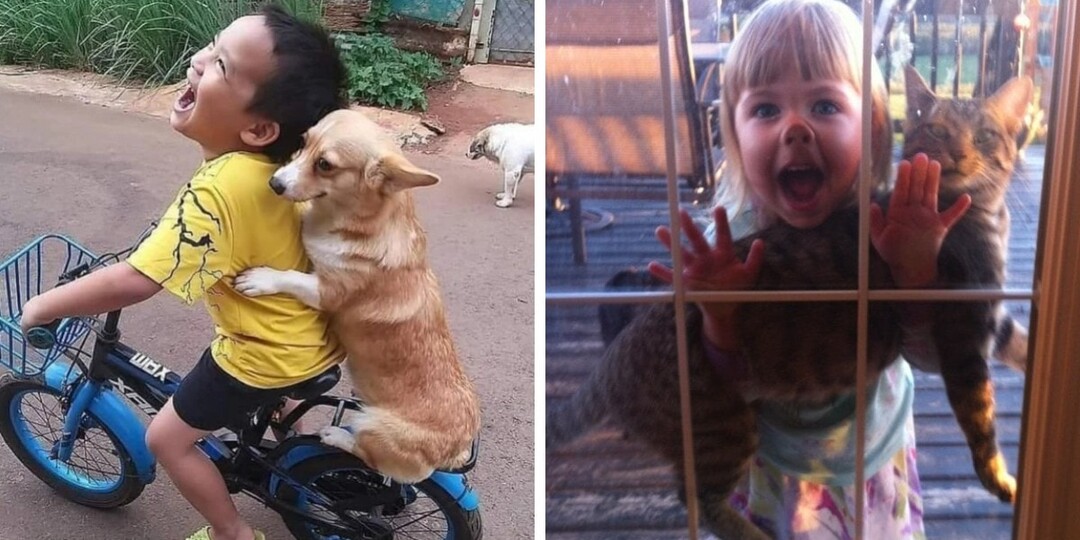 17 неопровержимых фотодоказательств того, что дети и животные просто созданы друг для друга