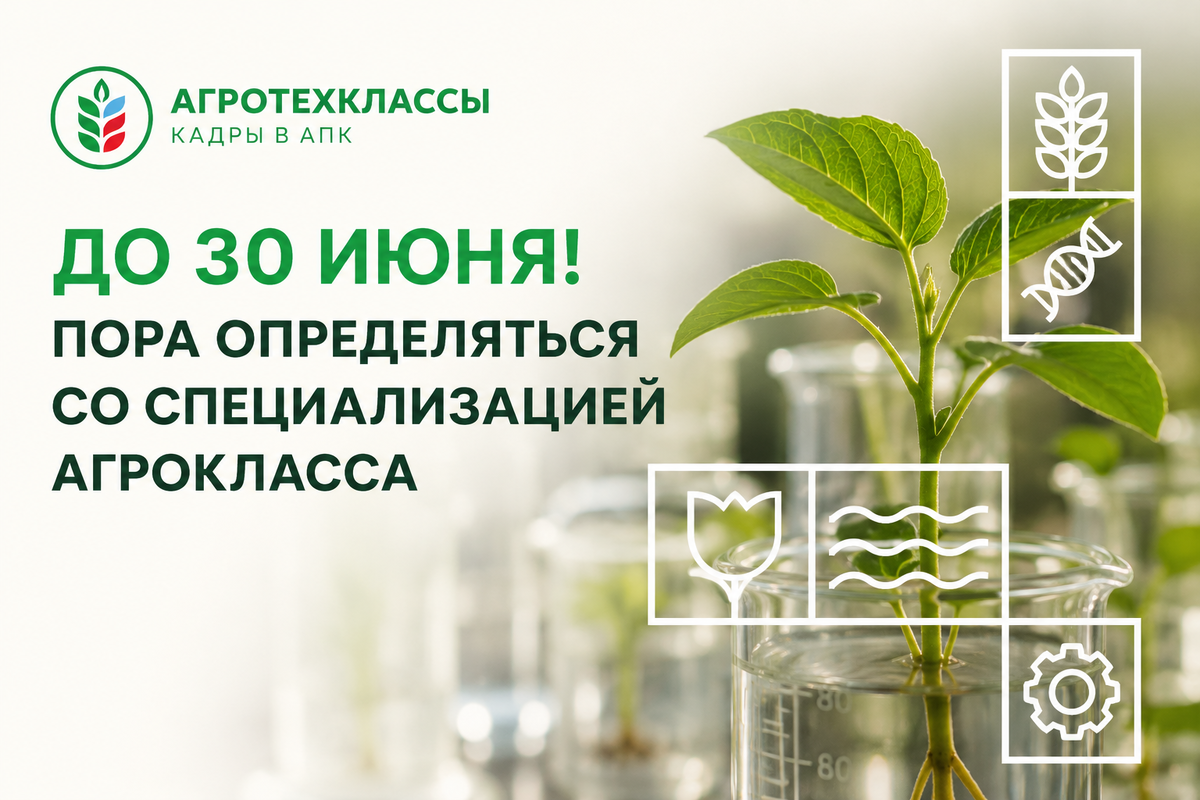 ВК Екатерина Шикина: https://vk.com/shikinaekaterina