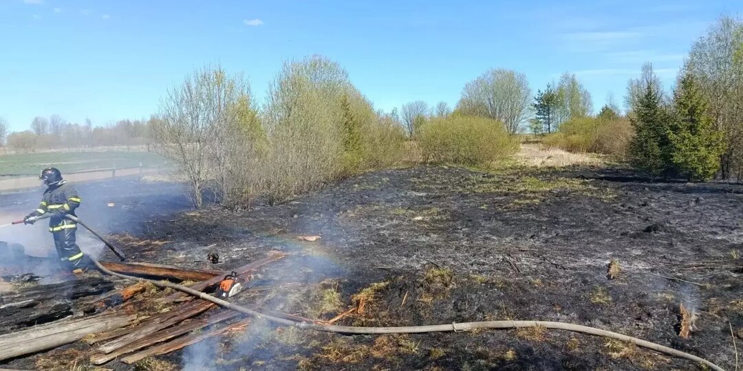Деревянная постройка и поле сухой травы сгорели в Карелии