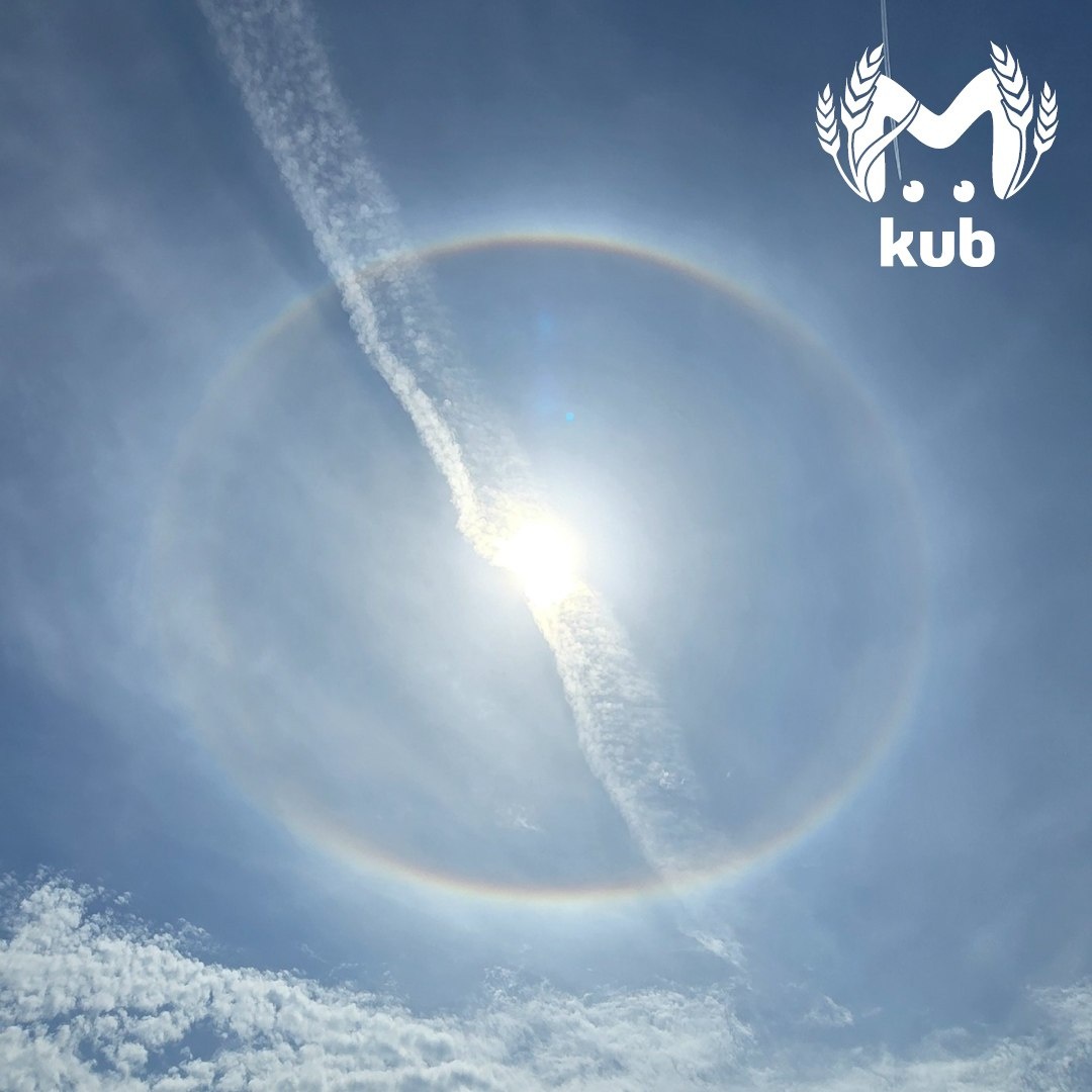    Фото: Telegram/Kub Mash