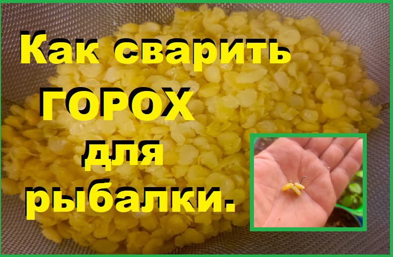 Как сварить горох для рыбалки ? Отличная насадка и один из лучших компонентов в прикормке!