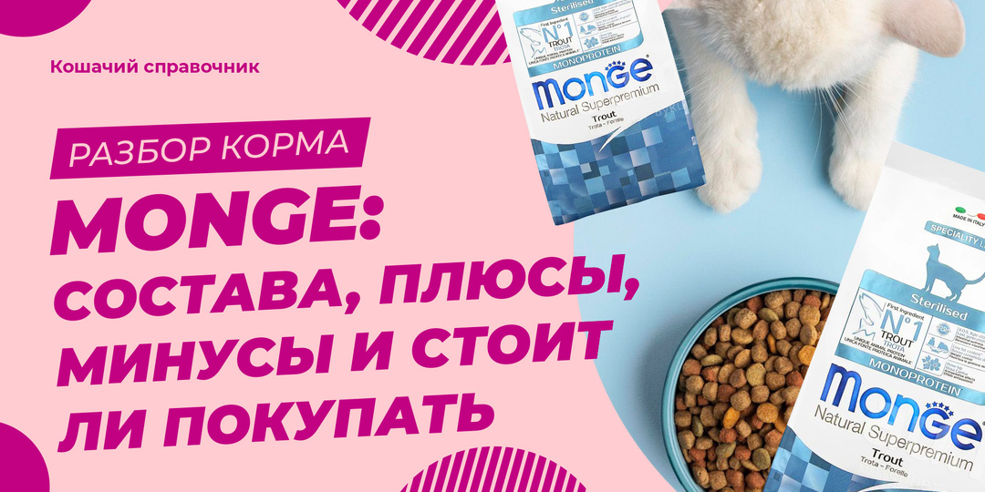 Корм Monge для кошек: разбор состава, плюсы, минусы и стоит ли покупать