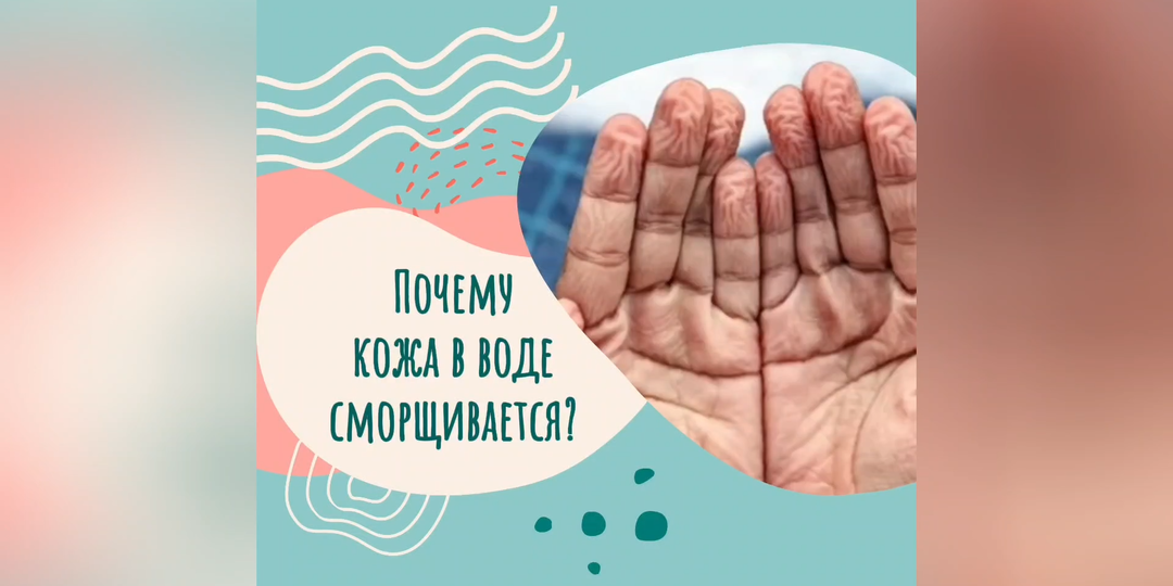 Почему кожа в воде сморщивается?