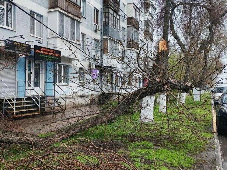     Фото: «МК в Самаре»