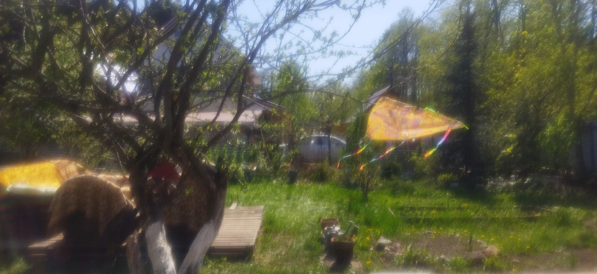 Мой воздушный змей взлетает!