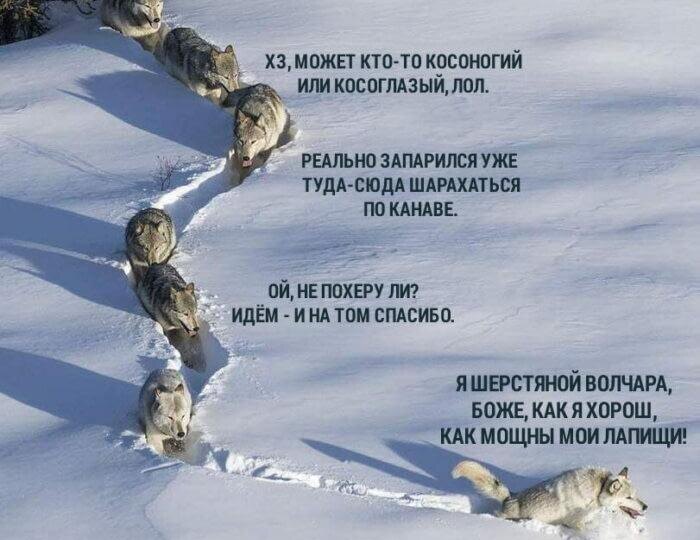 Кто такой бизнес