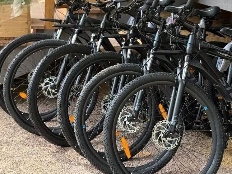     Четвертая международная велогонка «Золото Ладоги» пройдет с 25 по 31 мая. Фото: пресс-служба администрации Ленобласти (архив).